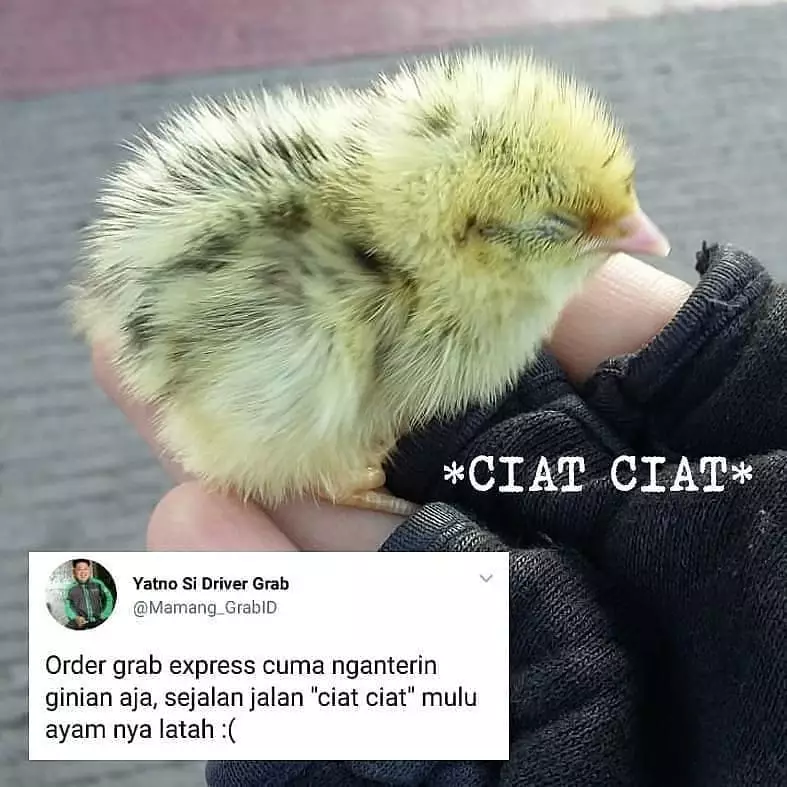 Orderan tidak biasa dari pelanggan ojek online berbagai sumber