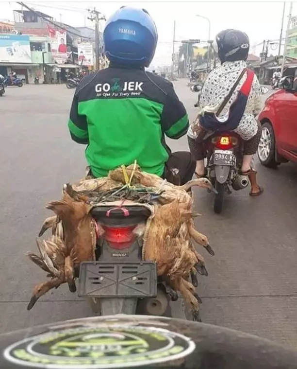 Orderan tidak biasa dari pelanggan ojek online berbagai sumber