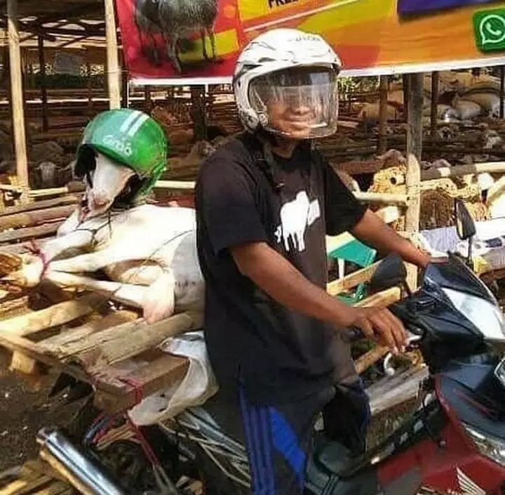 Orderan tidak biasa dari pelanggan ojek online berbagai sumber