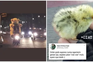 11 Orderan tidak biasa dari pelanggan ojek online, ada bawa anak ayam
