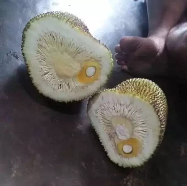 ini dia kalau orang nggak cara potong buah © berbagai sumber