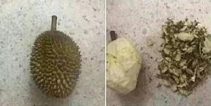 ini dia kalau orang nggak cara potong buah © berbagai sumber