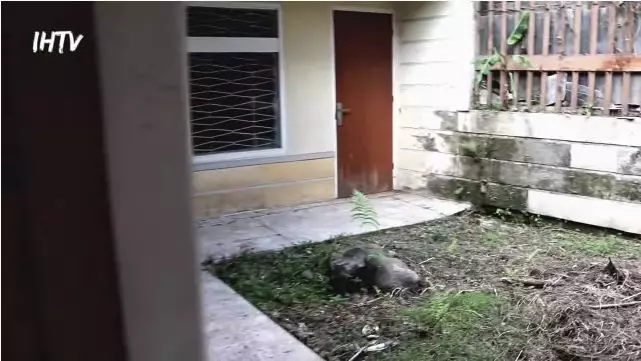 penampakan rumah masa kecil ariel noah © YouTube penampakan rumah masa kecil ariel noah © YouTube