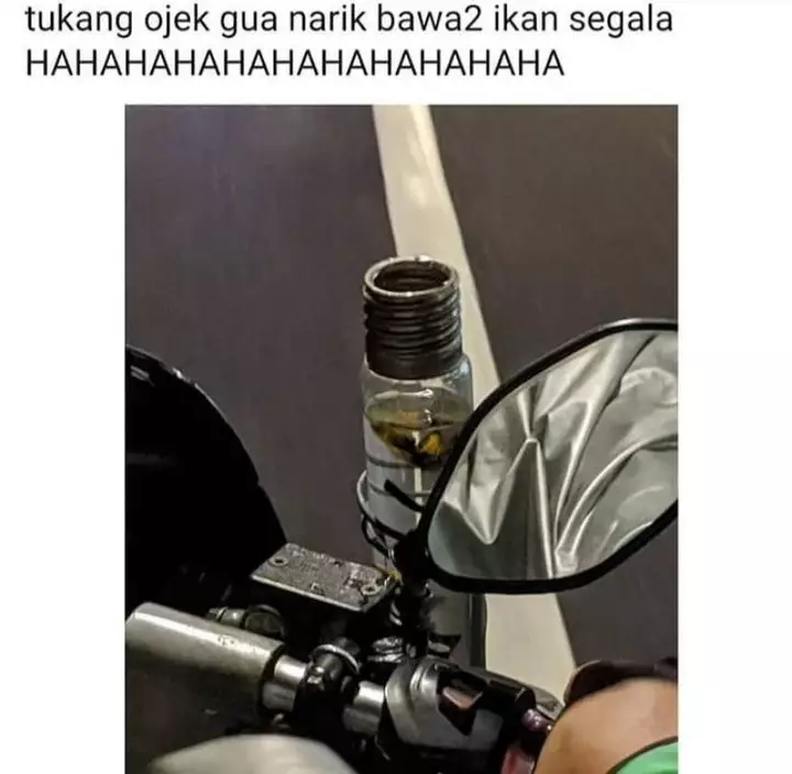 Penampakan hewan di kendaraan ojek online berbagai sumber