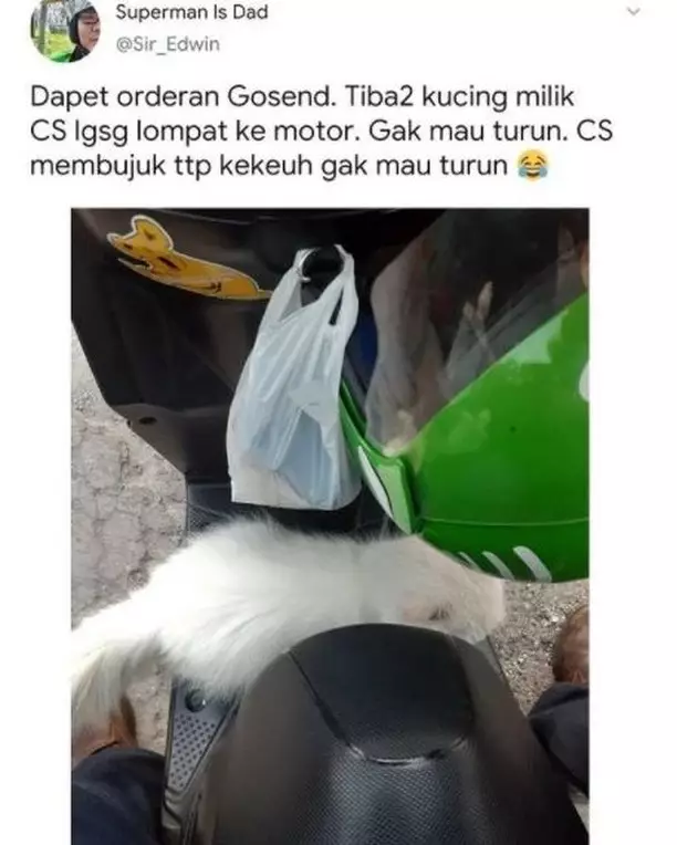 Penampakan hewan di kendaraan ojek online berbagai sumber