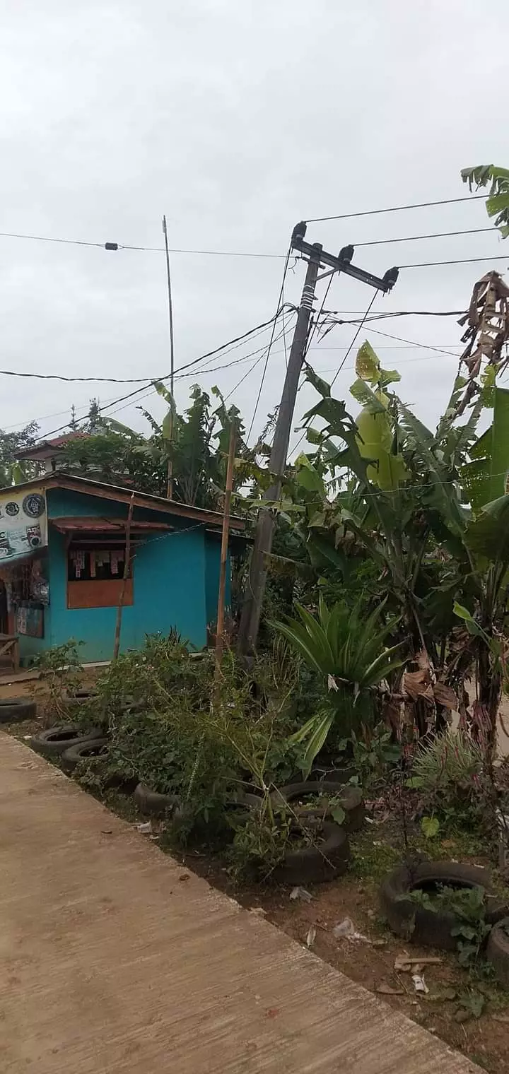 dampak gempa bumi banten © twitter dampak gempa bumi banten © twitter