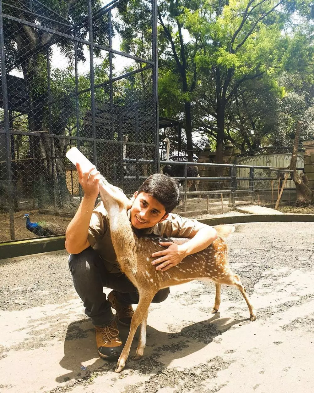 Potret mini zoo di rumah 7 seleb © 2022 brilio.net