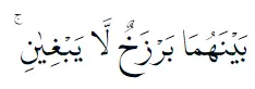 Bacaan surat Ar-Rahman © 2022 brilio.net Bacaan surat Ar-Rahman © 2022 brilio.net