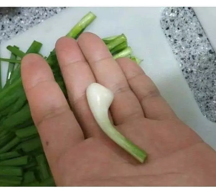 penampakan bahan masak nyeleneh pol © Instagram penampakan bahan masak nyeleneh pol © Instagram