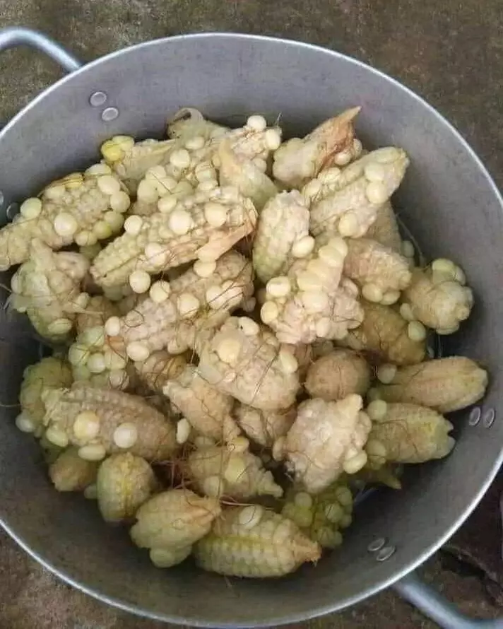 penampakan bahan masak nyeleneh pol © Instagram penampakan bahan masak nyeleneh pol © Instagram