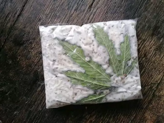 penampakan bahan masak nyeleneh pol © Instagram penampakan bahan masak nyeleneh pol © Instagram