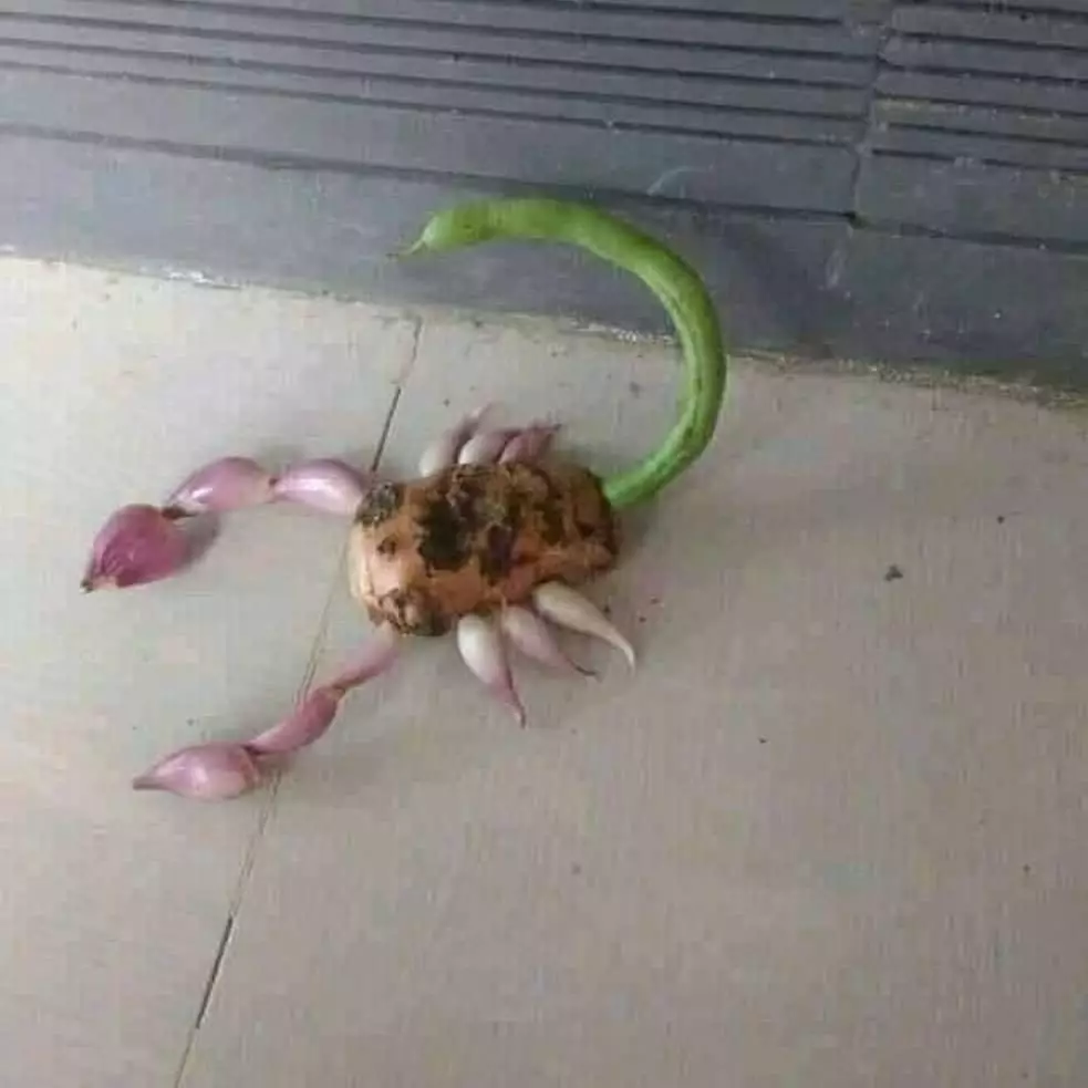 penampakan bahan masak nyeleneh pol © Instagram penampakan bahan masak nyeleneh pol © Instagram