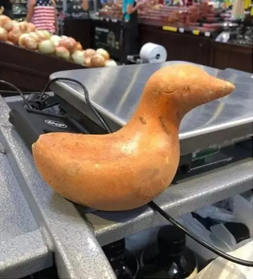 penampakan bahan masak nyeleneh pol © Instagram penampakan bahan masak nyeleneh pol © Instagram