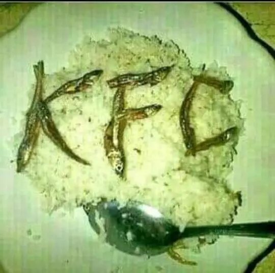 bentuk lucu makanan rumahan © berbagai sumber bentuk lucu makanan rumahan © berbagai sumber