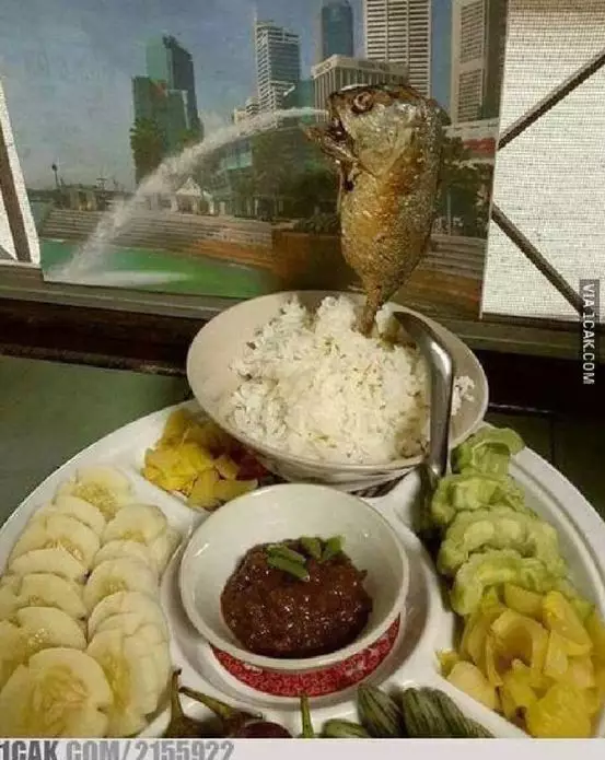 bentuk lucu makanan rumahan © berbagai sumber bentuk lucu makanan rumahan © berbagai sumber