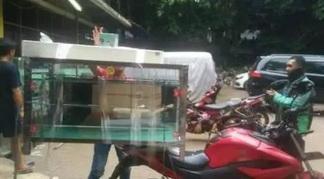 bawaan driver ojek online besar banget © Instagram bawaan driver ojek online besar banget © Instagram