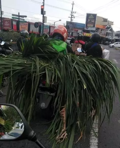 bawaan driver ojek online besar banget © Instagram bawaan driver ojek online besar banget © Instagram