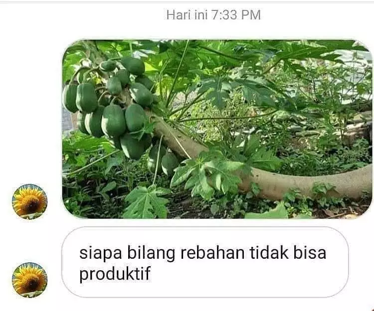 chat temen ngirimin foto kocak bikin ketawa © Instagram chat temen ngirimin foto kocak bikin ketawa © Instagram