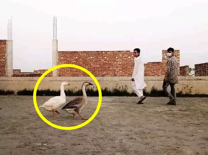 momen bikin tegang waktu jalan-jalan © Instagram momen bikin tegang waktu jalan-jalan © Instagram