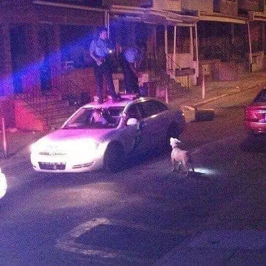 momen bikin tegang waktu jalan-jalan © Instagram momen bikin tegang waktu jalan-jalan © Instagram