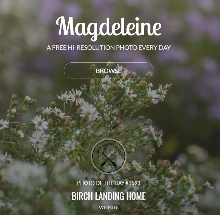 Cara download gambar kualitas HD di Google © 2022 brilio.net Cara download gambar kualitas HD di Google © 2022 brilio.net