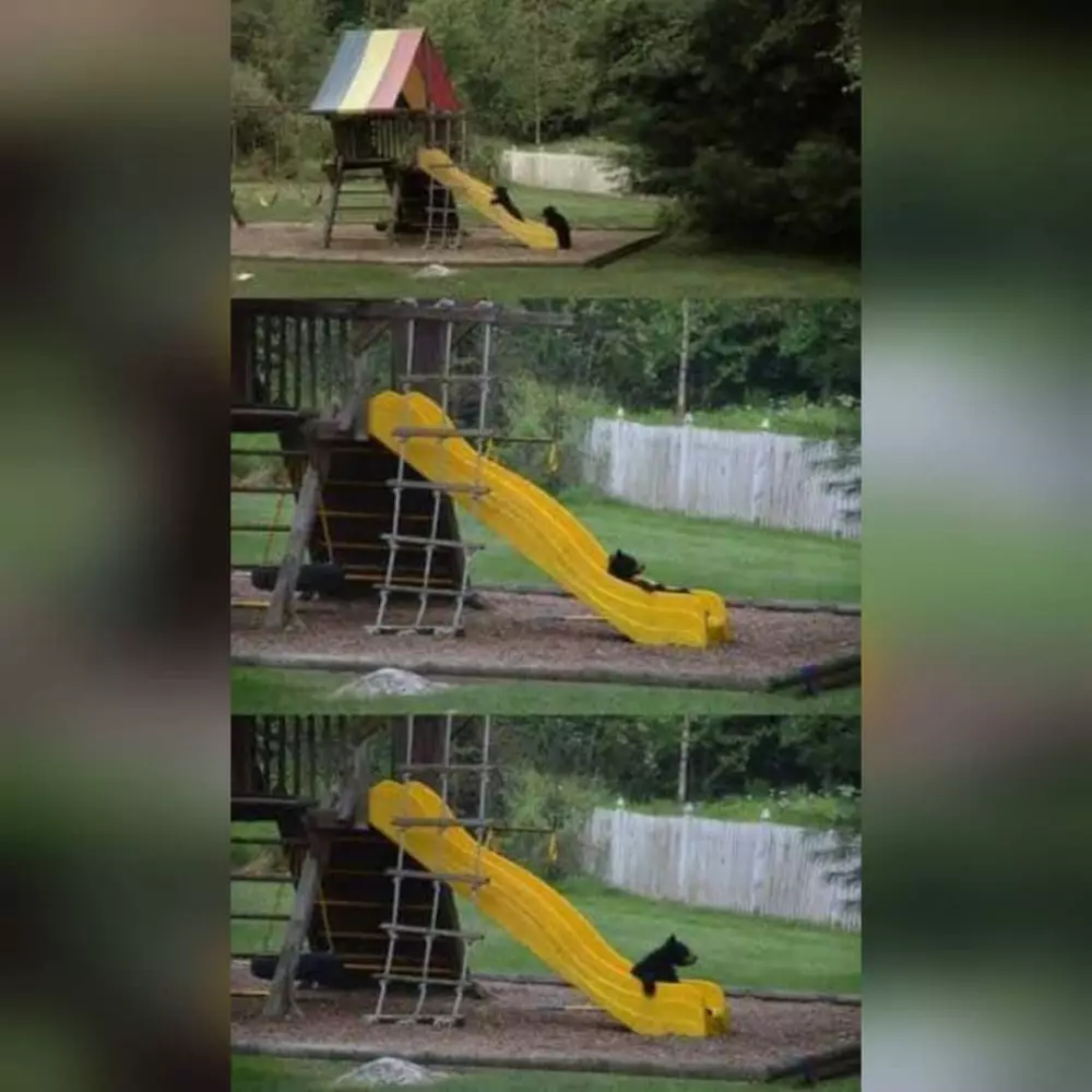 penampakan di taman bermain bingungin © Instagram penampakan di taman bermain bingungin © Instagram