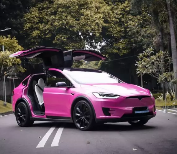 Atta beri mobil Tesla untuk baby A © berbagai sumber