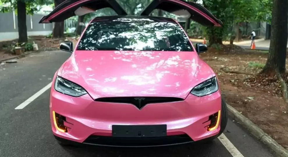 Atta beri mobil Tesla untuk baby A © berbagai sumber