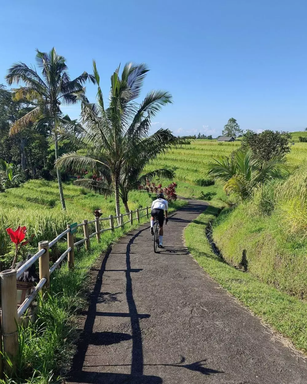 5 Cara cepat hilangkan rasa suntuk kerja ala Isyana & Nicholas Saputra © 5 Cara cepat hilangkan rasa suntuk kerja ala Isyana & Nicholas Saputra ©