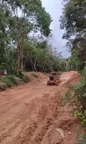 siswa di Kutai Barat pulang sekolah naik alat berat © Instagram