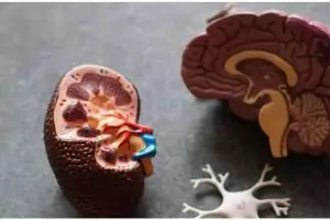 8 Trik memasak untuk penderita ginjal, sehat dan gampang ditiru