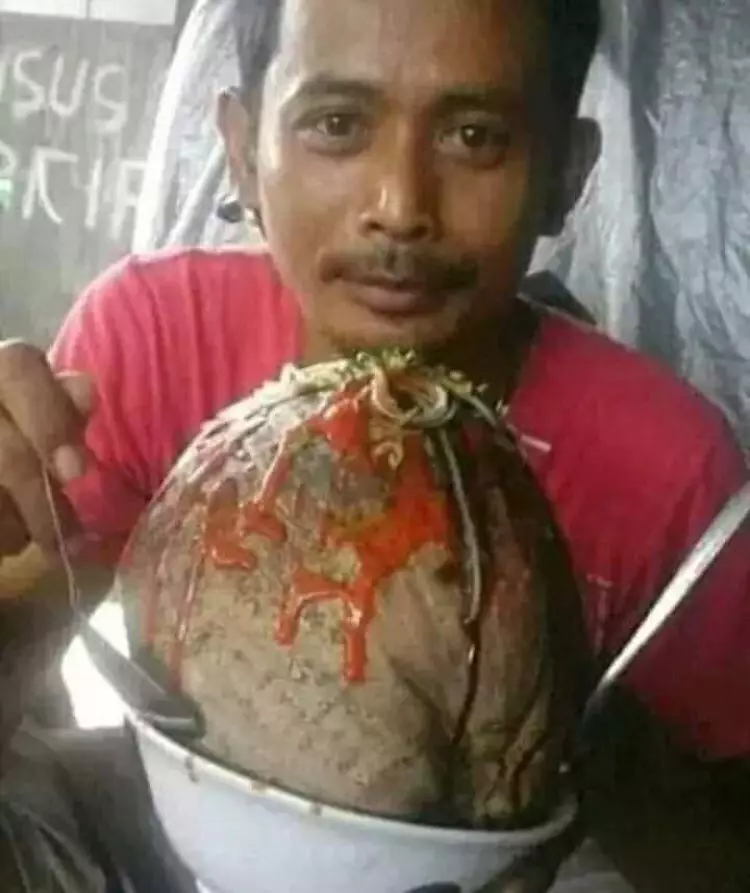 potret masak mainan lucu abis © 1cak.com potret masak mainan lucu abis © 1cak.com