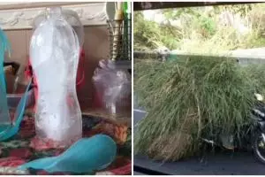 Jangan ditiru, 13 potret orang terlalu nekat aksinya bikin gigit jari