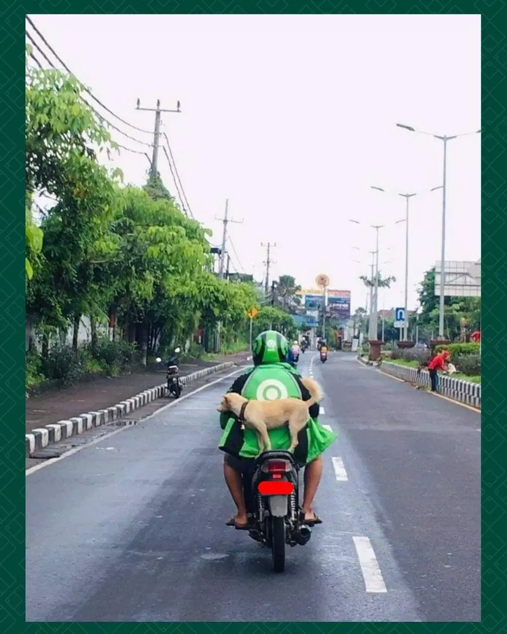 bakat terpendam driver ojek online ada-ada aja © Instagram