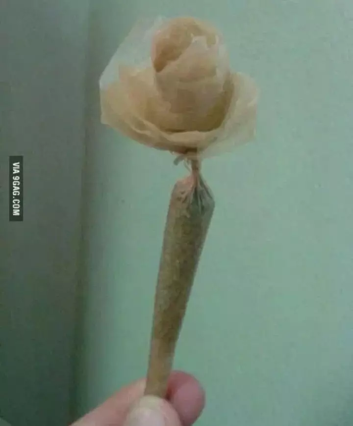 potret hadiah tapi bentuknya aneh-aneh © berbagai sumber potret hadiah tapi bentuknya aneh-aneh © berbagai sumber