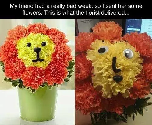 potret hadiah tapi bentuknya aneh-aneh © berbagai sumber potret hadiah tapi bentuknya aneh-aneh © berbagai sumber