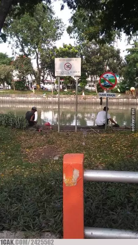 kelakuan absurd melanggar aturan © berbagai sumber