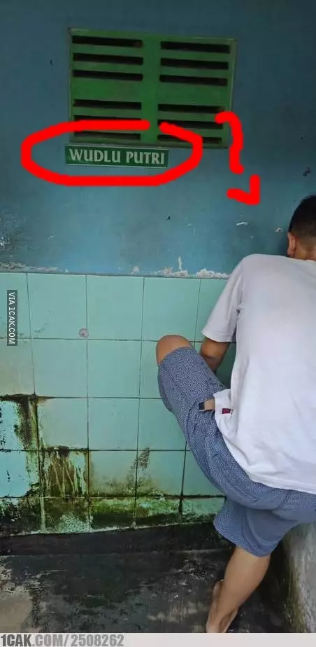 kelakuan absurd melanggar aturan © berbagai sumber