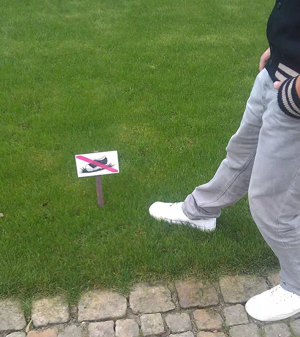 kelakuan absurd melanggar aturan © berbagai sumber