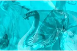 Kamu tipe istri seperti apa sih? Temukan jawabannya lewat kuis ini