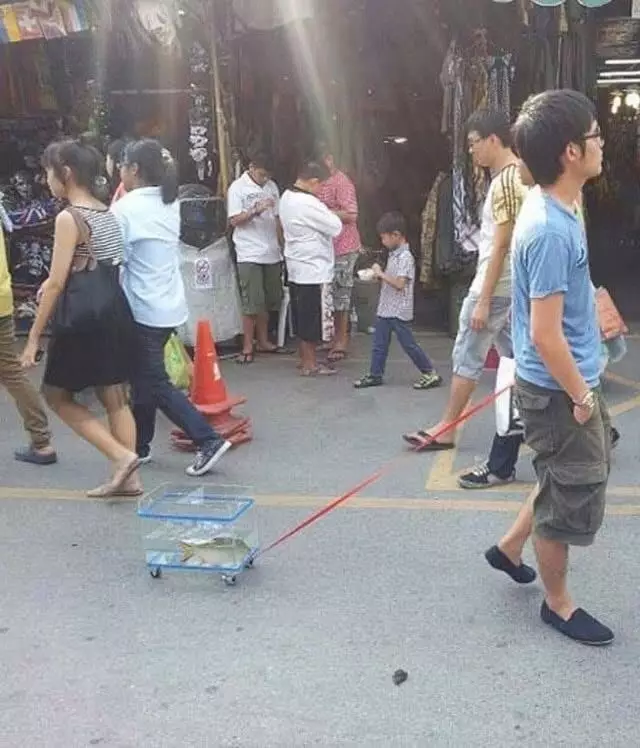 potret lucu melawan normal © berbagai sumber