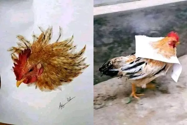 potret hasil desain gambar tak sesuai dengan aslinya  © 2022 berbagai sumber 