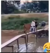 momen orang lewat jalan tak biasa  © 2022 berbagai sumber  momen orang lewat jalan tak biasa  © 2022 berbagai sumber