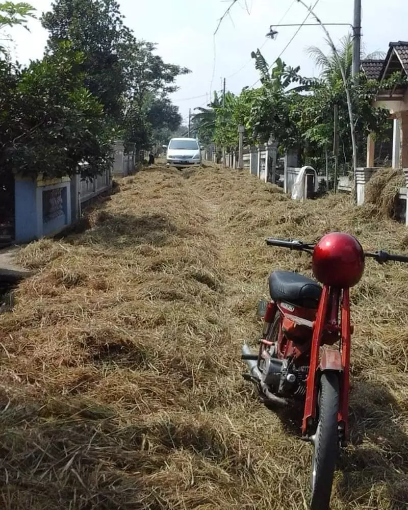 momen orang lewat jalan tak biasa  © 2022 berbagai sumber  momen orang lewat jalan tak biasa  © 2022 berbagai sumber