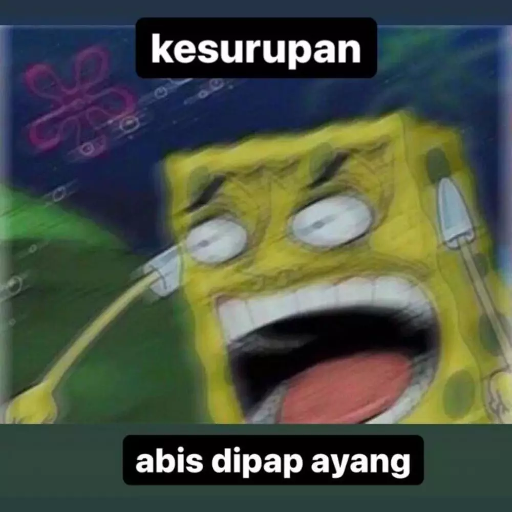 meme kocak terlanjur bucin  © 2022 berbagai sumber  meme kocak terlanjur bucin  © 2022 berbagai sumber