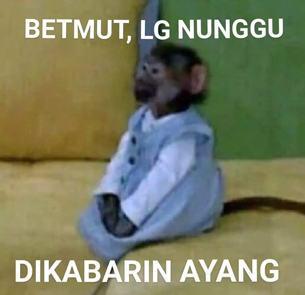 meme kocak terlanjur bucin  © 2022 berbagai sumber  meme kocak terlanjur bucin  © 2022 berbagai sumber