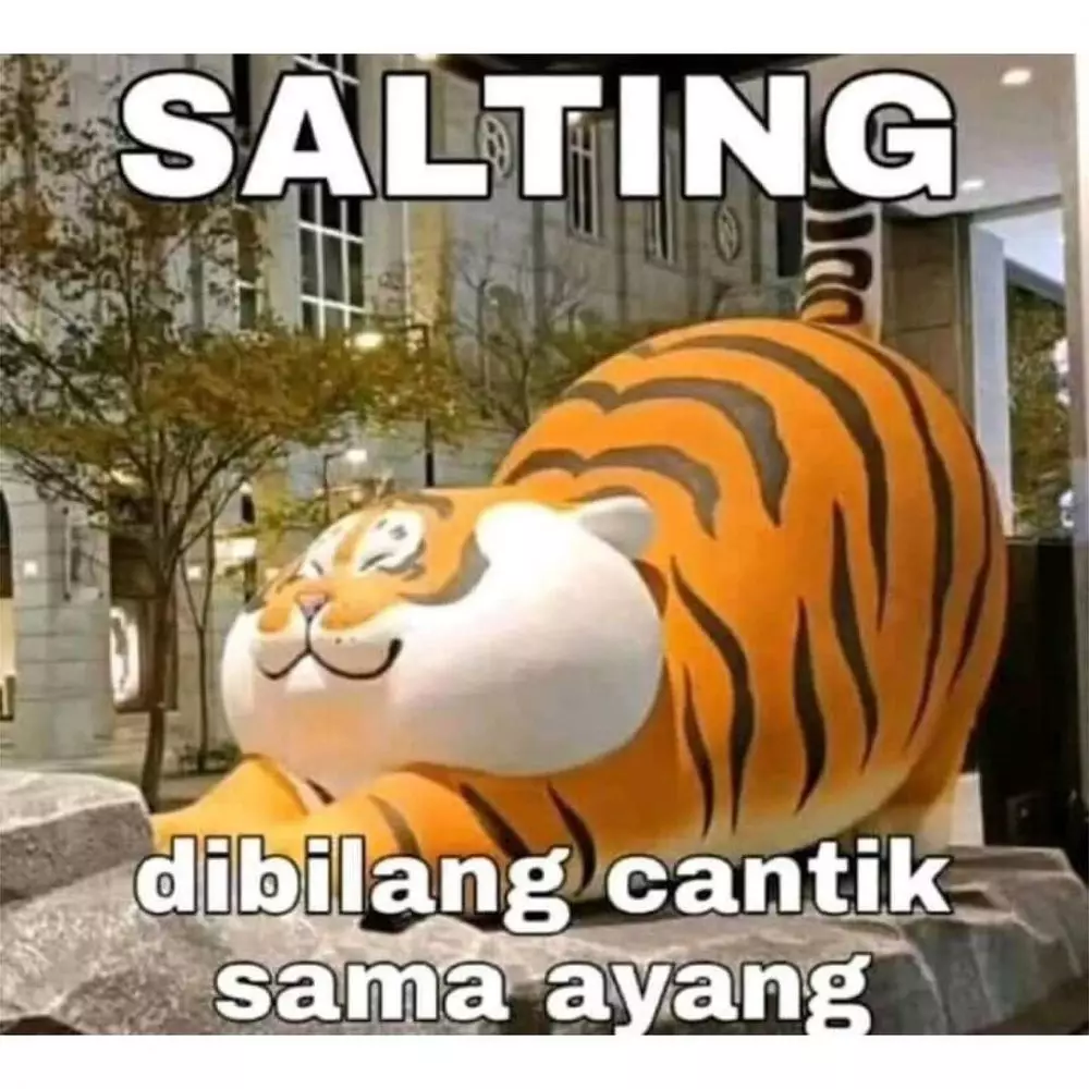 meme kocak terlanjur bucin  © 2022 berbagai sumber  meme kocak terlanjur bucin  © 2022 berbagai sumber