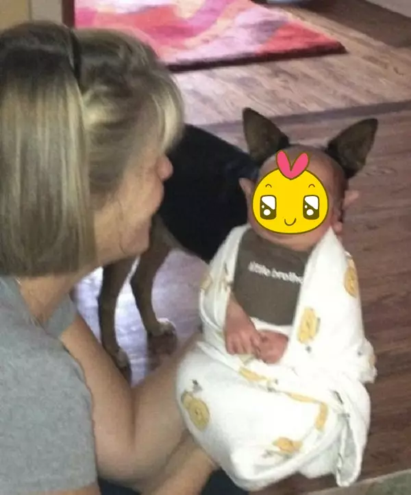 potret hewan jadi photobomb pas banget © 1cak.com