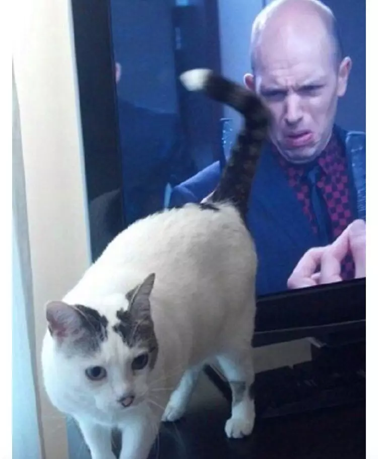 potret hewan jadi photobomb pas banget © 1cak.com