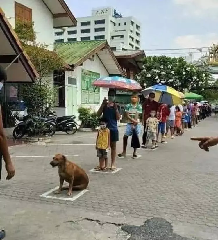 potret hewan jadi photobomb pas banget © 1cak.com